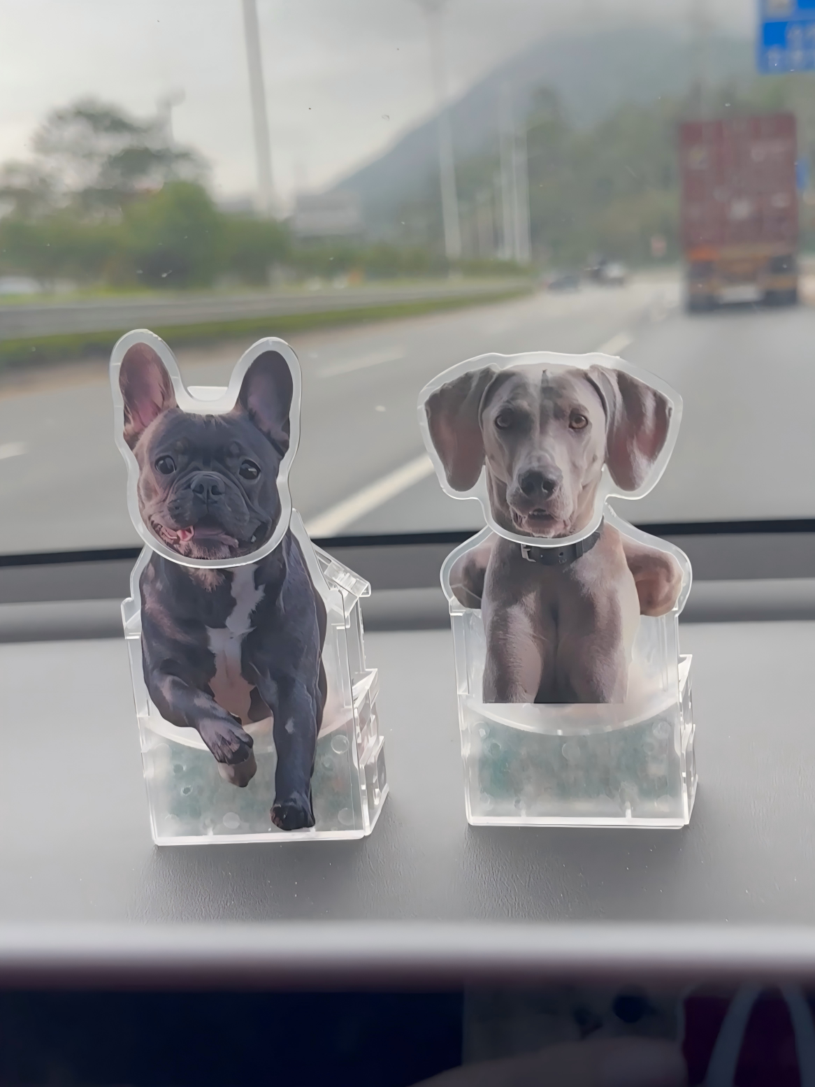 The Perfect Gift for Pet Lovers: Personalized Motion Car Dash Decor With Your Pet Photos.