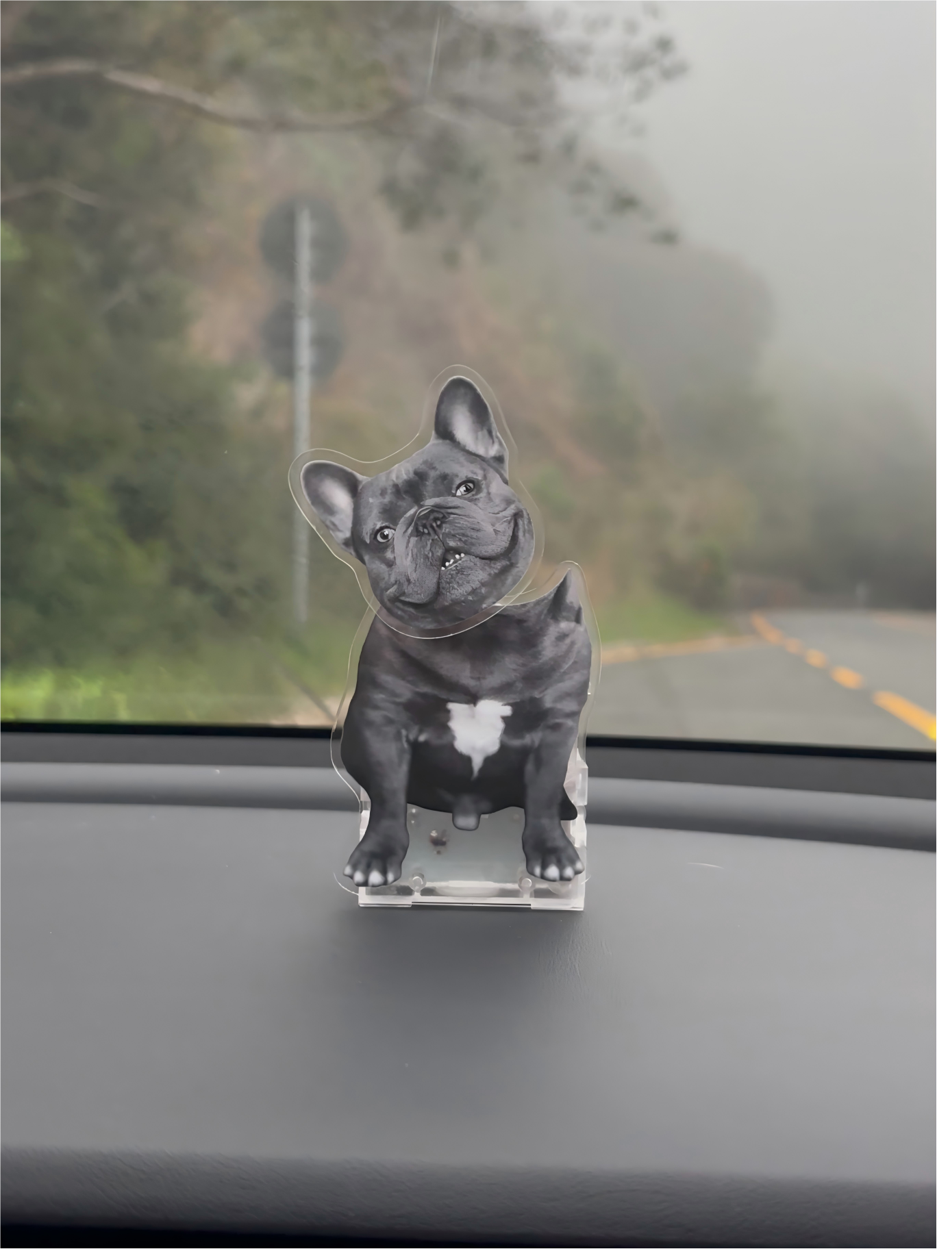 The Perfect Gift for Pet Lovers: Personalized Motion Car Dash Decor With Your Pet Photos.