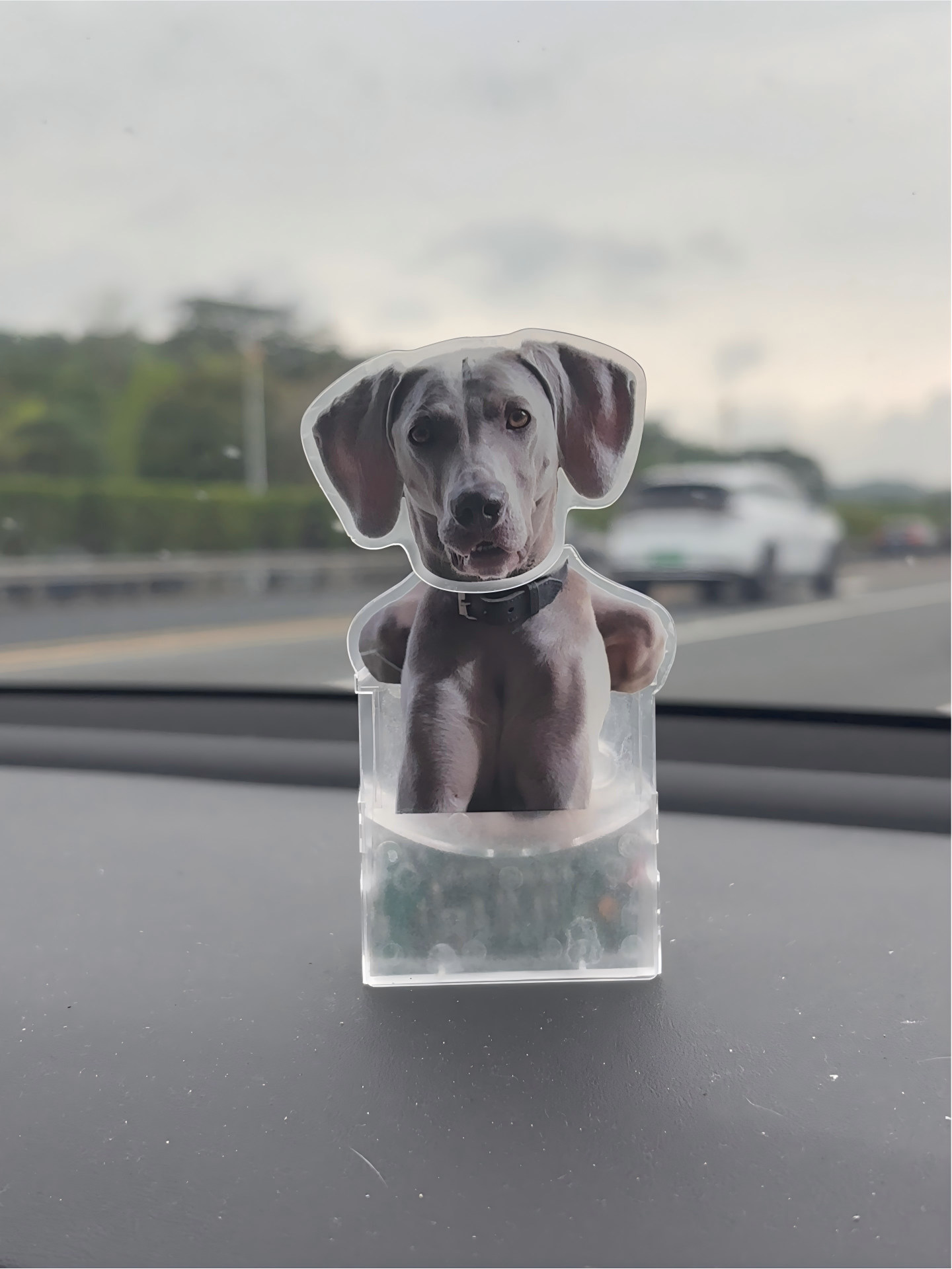 The Perfect Gift for Pet Lovers: Personalized Motion Car Dash Decor With Your Pet Photos.