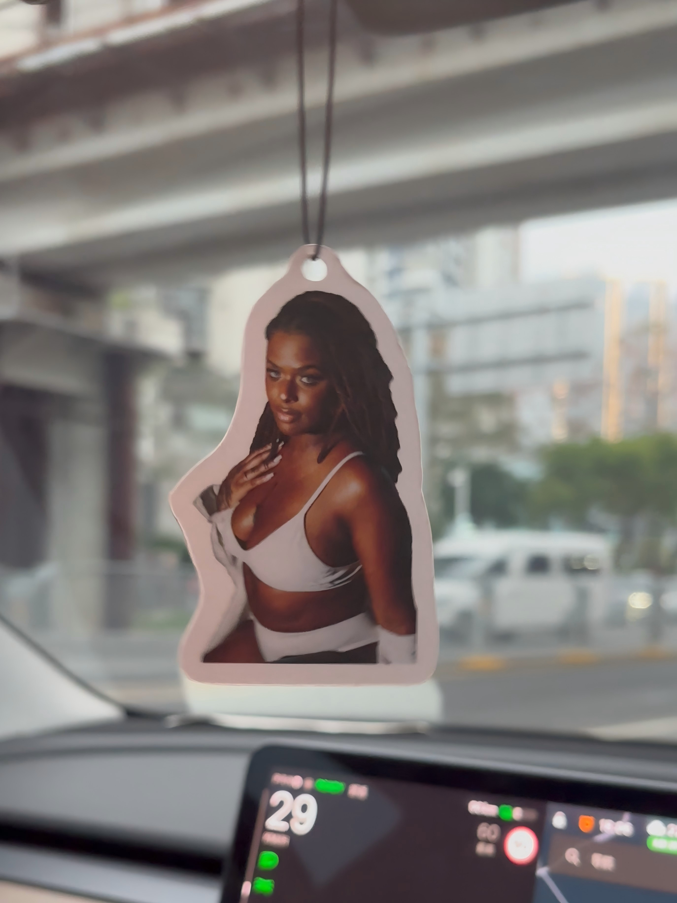 Personalized Car Air Freshie | Your Photo, Your Scent, Your Style