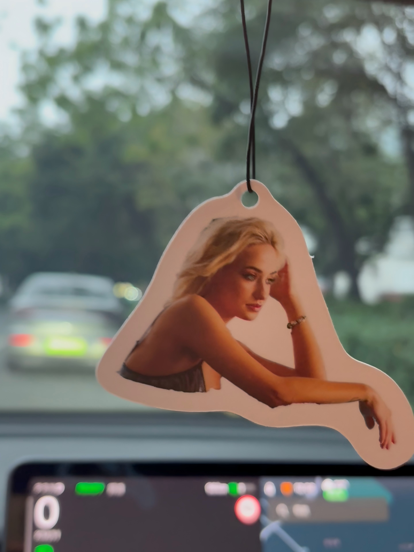 Personalized Car Air Freshie | Your Photo, Your Scent, Your Style