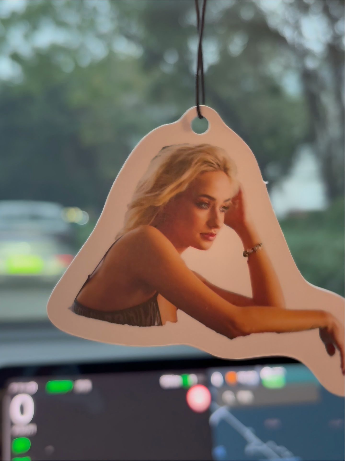 Personalized Car Air Freshie | Your Photo, Your Scent, Your Style