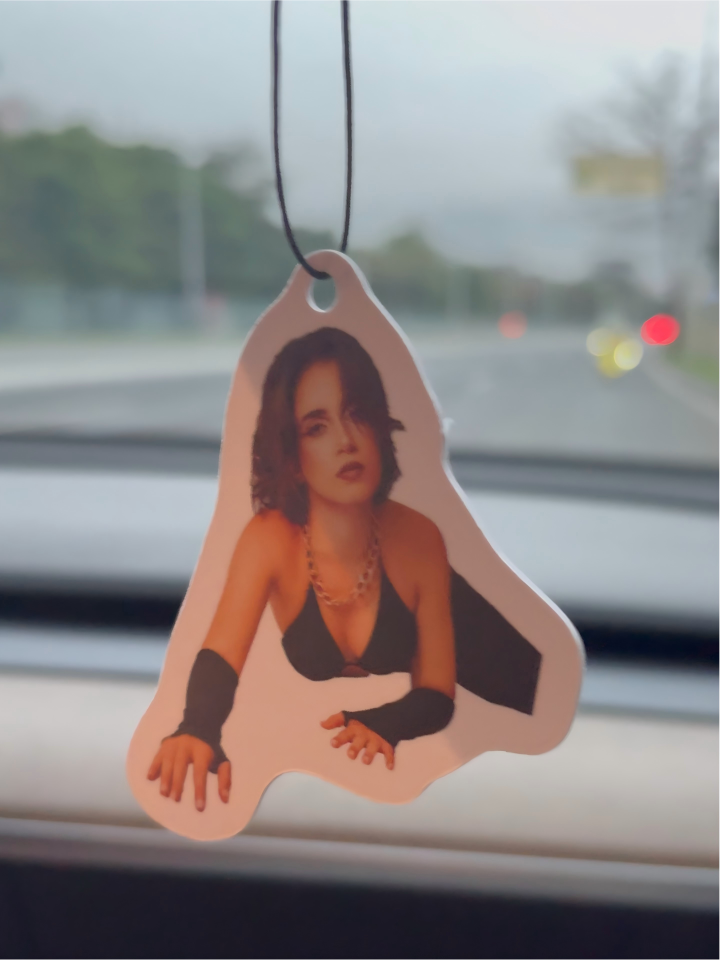 Personalized Car Air Freshie | Your Photo, Your Scent, Your Style
